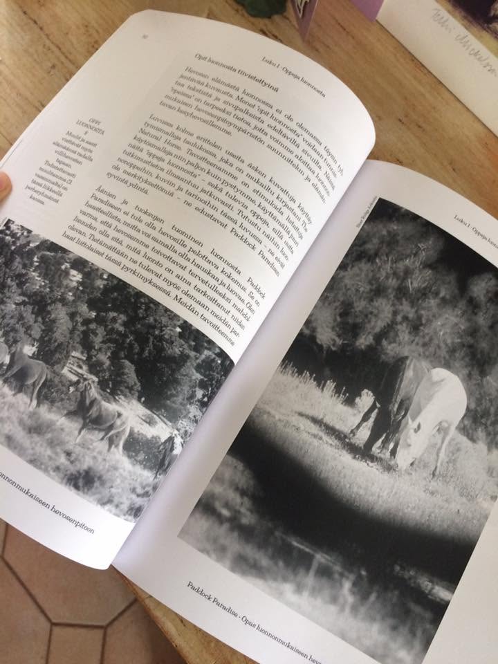 Paddock Paradise – Finnische Ausgabe