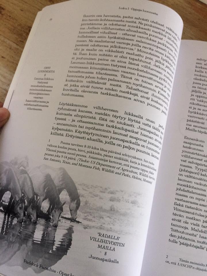 Paddock Paradise – Finnische Ausgabe
