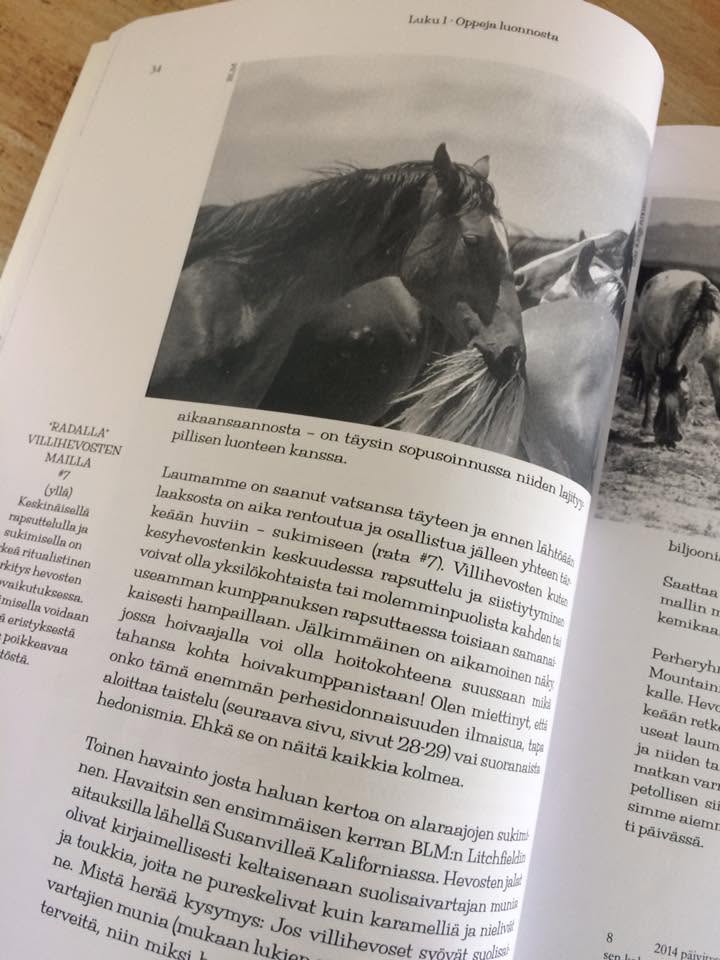 Paddock Paradise – Finnische Ausgabe