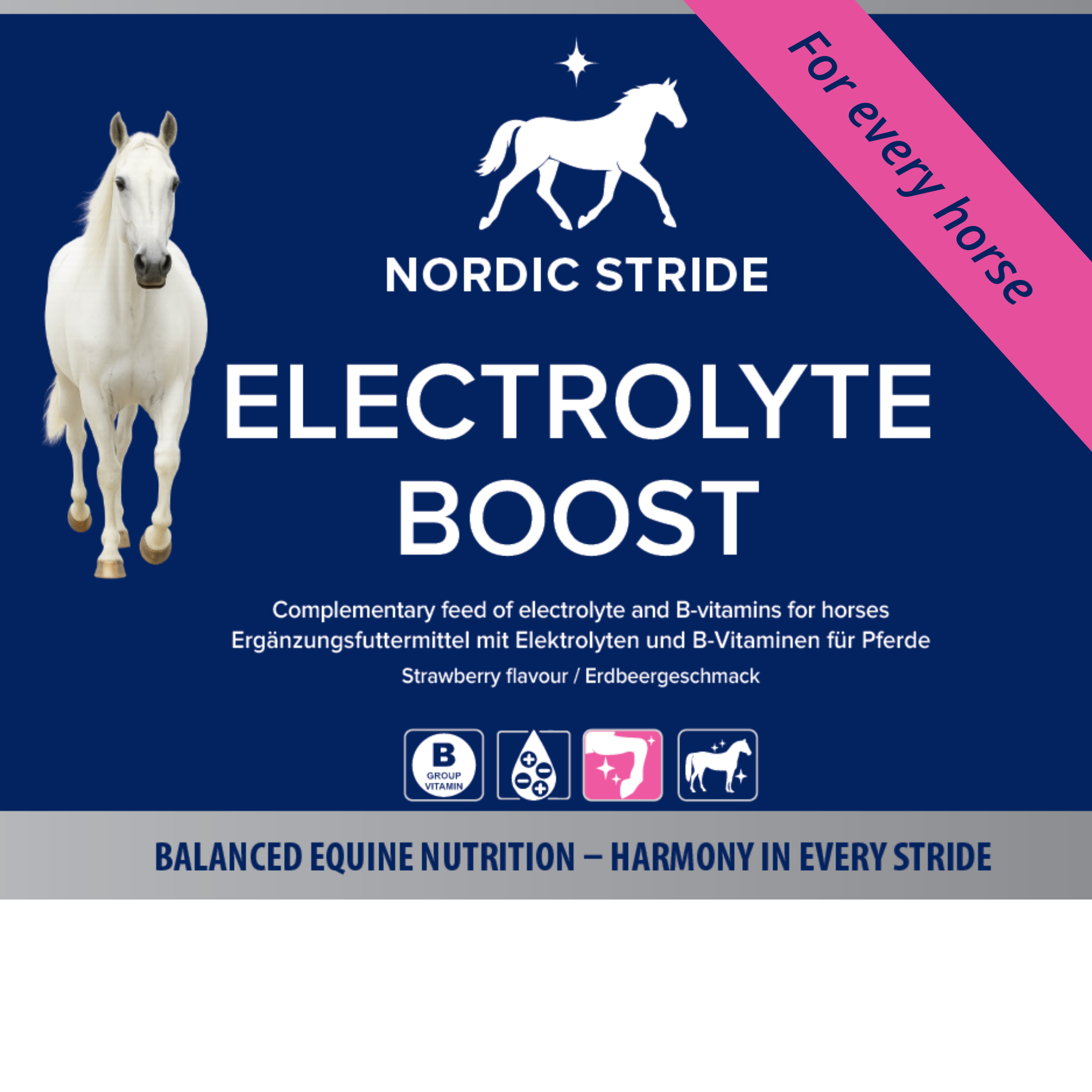 Electrolyte Boost