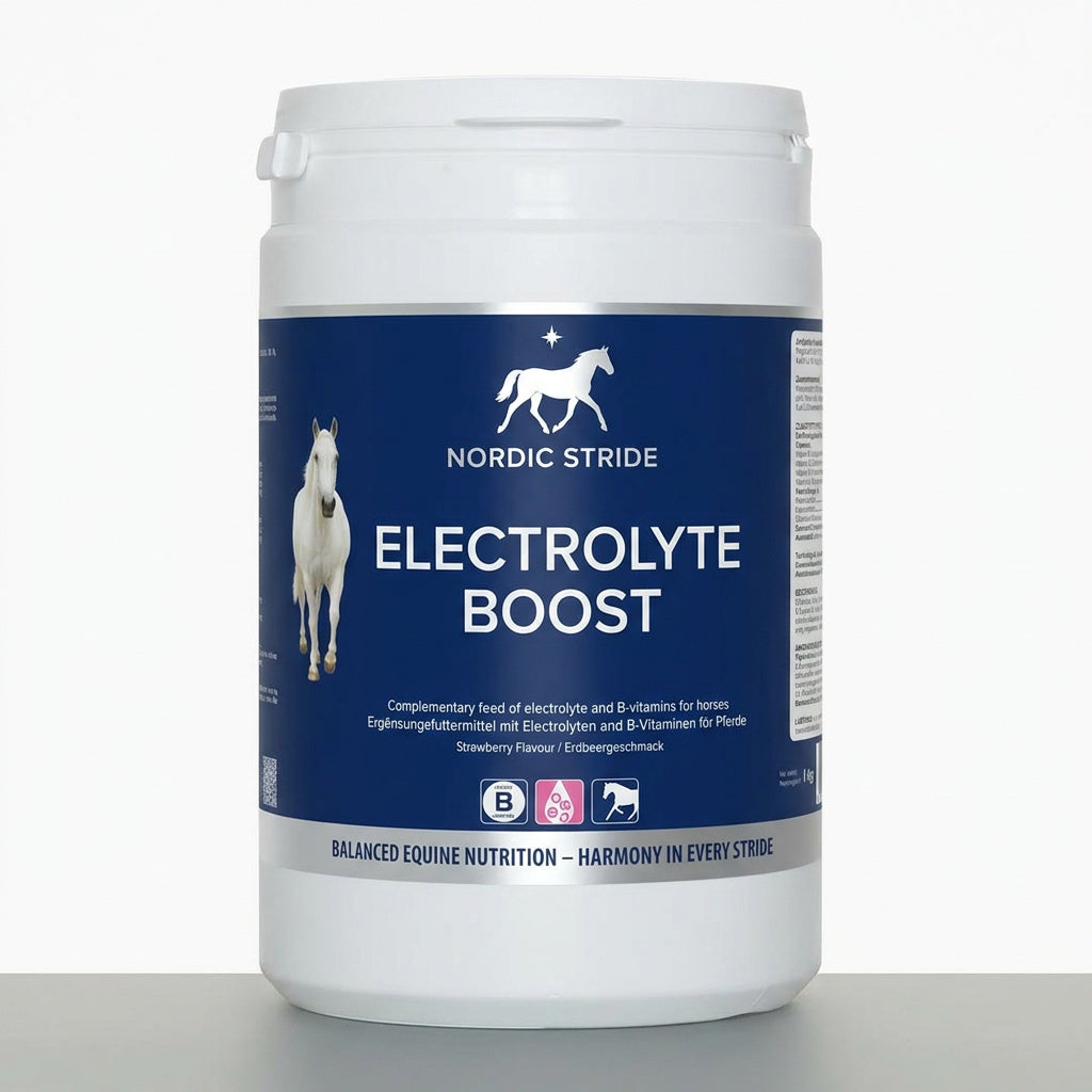 Electrolyte Boost